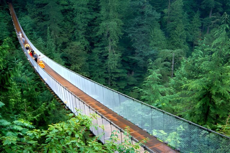 A dramatic view from the Capilano Suspension Bridge overlooking the deep green hues of a rainforest canyon below.