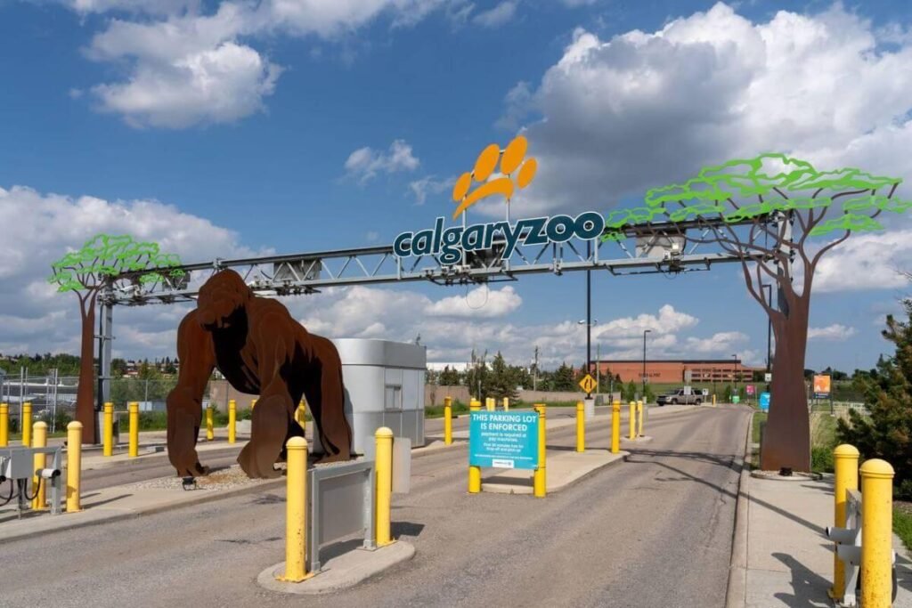 Calgary Zoo with diverse animals and a penguin habitat