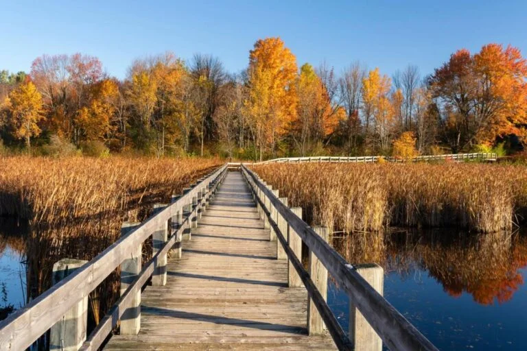 Best Nature Trails in Ottawa